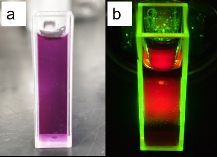 What is the synthesis methods and applications of carbon quantum dots