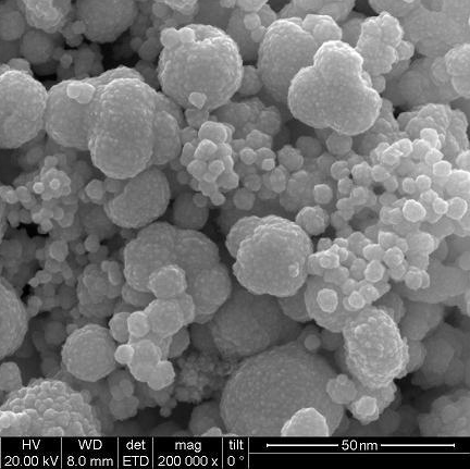 Gold Nanoparticles Regulate the 